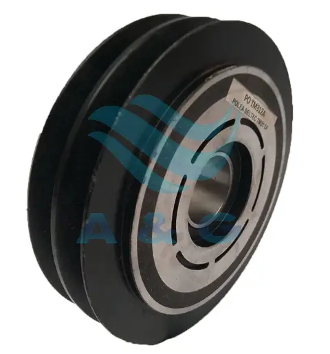 FCL TM31 2A 24V