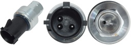 SW DODGE RAM/DURANGO 1500 04-10/Freightliner/Grand Cherokee