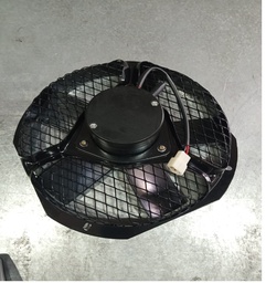 CF COASTER 24V COMPLETO