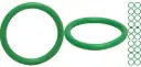 ORING R12 FINO 1/2 