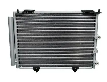CO DAIHATSU TERIOS 07-12 