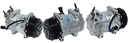 CO INTERNATIONAL/INTERNATIONAL 8PK 12V