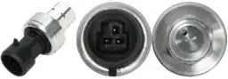 SW KENWORTH T880 14-25 FIAT 500